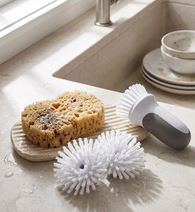 Oxo Replacement Brushes, Model View