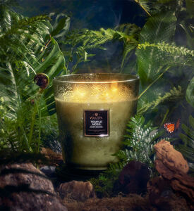 Japonica Temple Moss 5-wick Hearth Japonica Temple Moss 5-wick Hearth