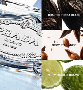 Almond Infusion Eau De Parfum