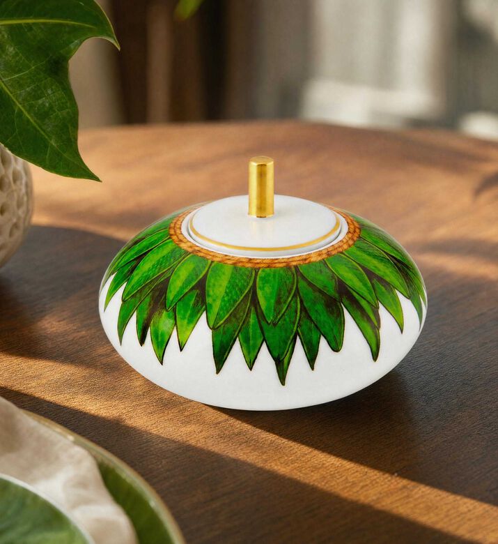 Vista Alegre Amazonia Sugar Box, Model View