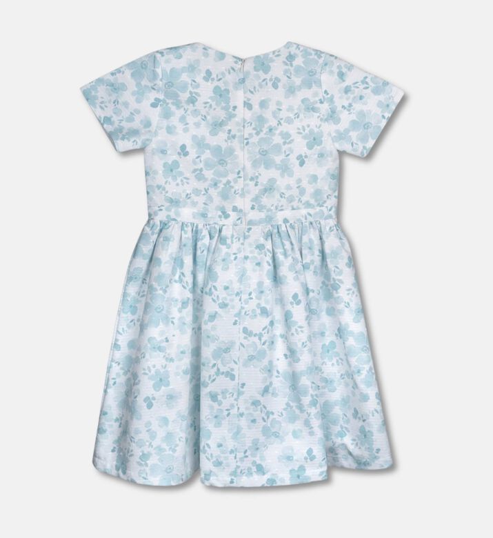 Jules and Juliette Paris Dress Eryna, Packshot View