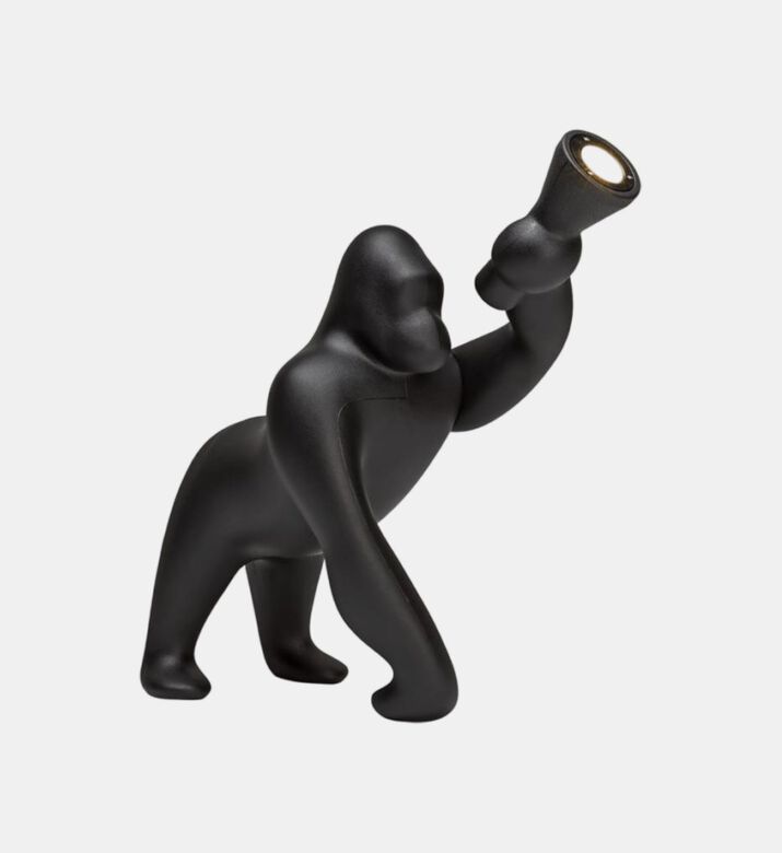 Kong Adjustable Arm Floor Lamp
