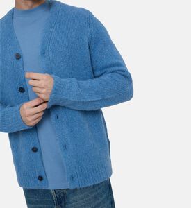 كارديغان سارين