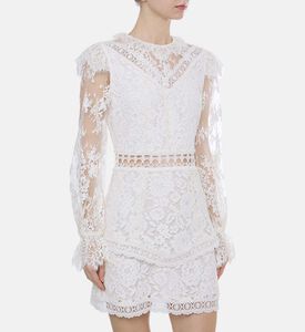 فستان دانتيل شفاف بأكمام طويلة وأساور مكشكشة