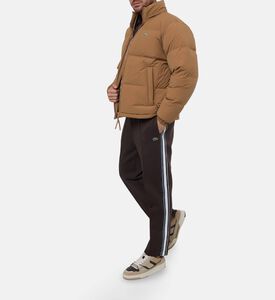 Lacoste Tracksuits, Model View