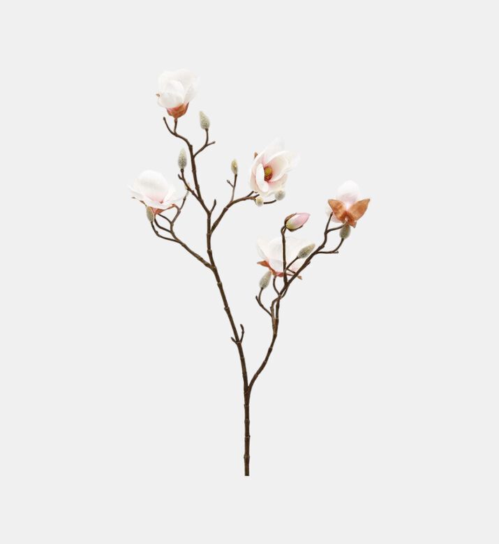 Edg Stellate Magnolia Branch, Cream, Packshot View