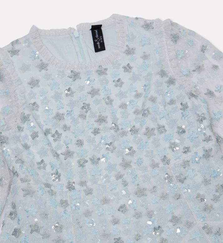 Needle And Thread Camille S Garden Embroidered Floral Mini Dress, Packshot View