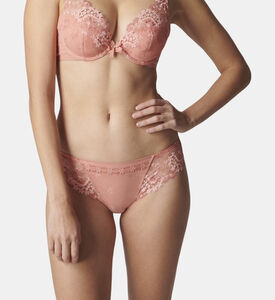 أتمنى ملخصات بيكيني مطرزة