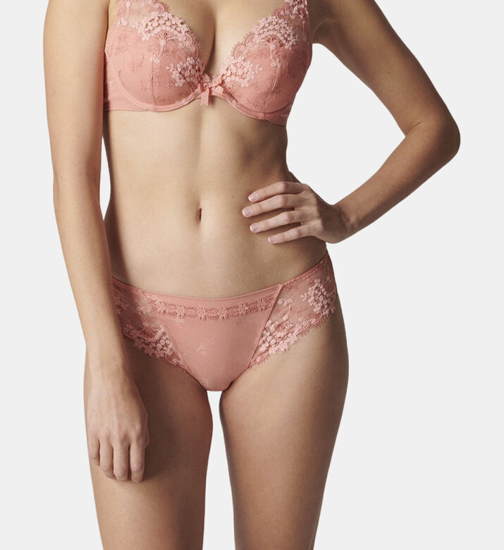 Wish Embroidered Bikini Briefs