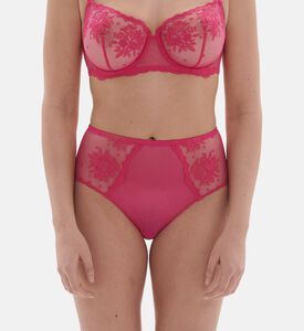 Intrigue Embroidered Retro Brief