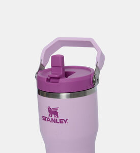 Ice Flow Go Flip Straw Water Bottle