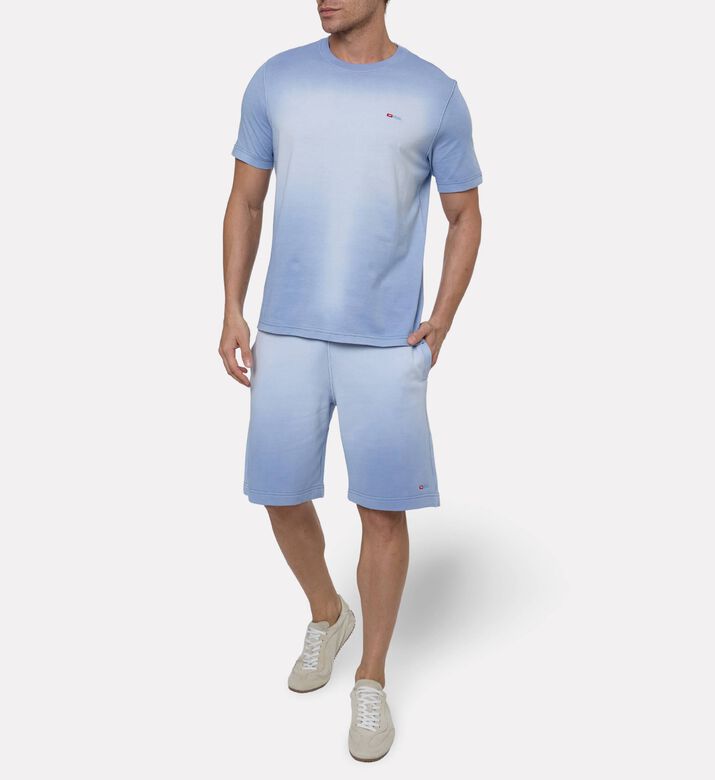 Diesel Ts, Model View