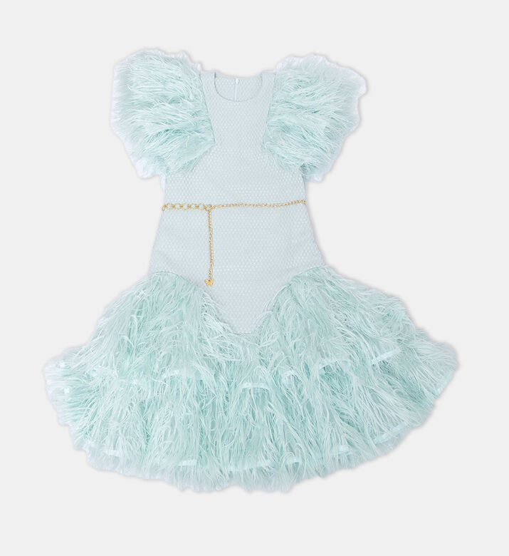 Girl Feather Embellished Dress
