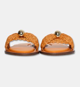 Arezzo Shoes Sabot, Packshot View