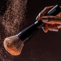 Powder Brush