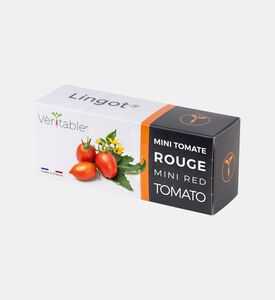 أعشاب الثوم المعمر العضوية العطرية الأساسية