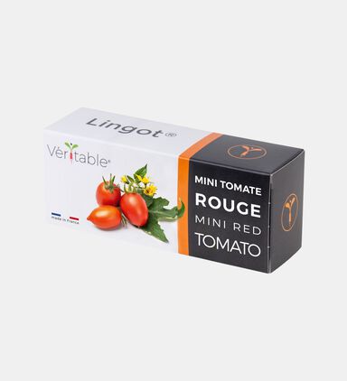 Red Mini Tomato Organic Seeds