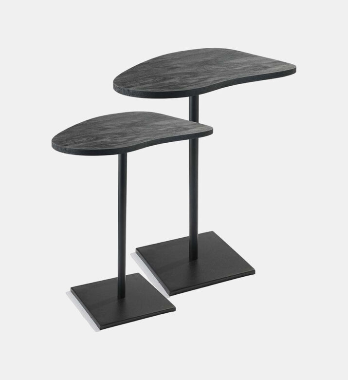 Yang Metal Side Table 2-piece Set