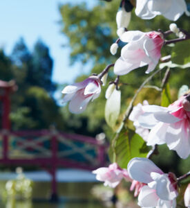 Replica Spring Park Eau De Toilette 100 Ml