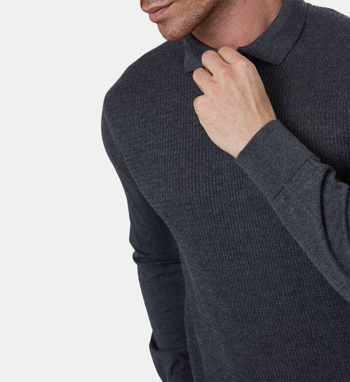 Corneliani Polo Knitted, Dark-grey, 58, Model View Corneliani Polo Knitted, Dark-grey, 58, Model View