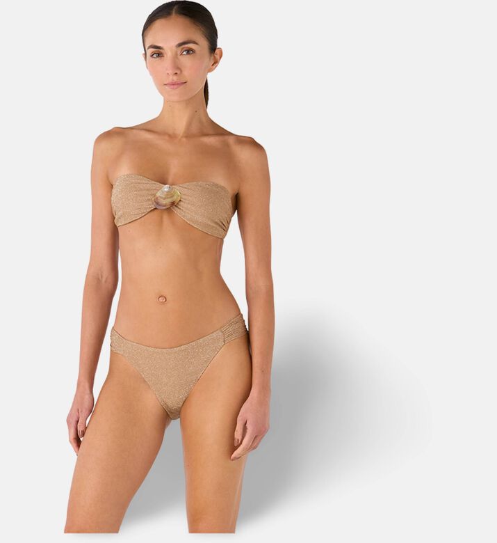 Palmacea Swst Bra, Model View