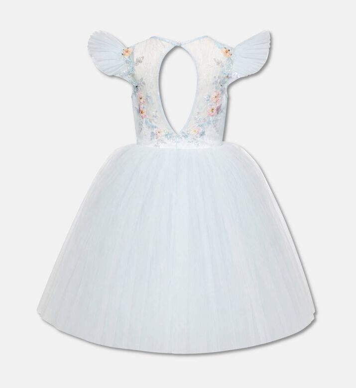 Lelyte Floral-embroidery Sheer Lace Dress, Packshot View