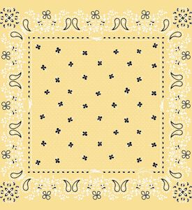 Silk Paisley Pattern Scarf