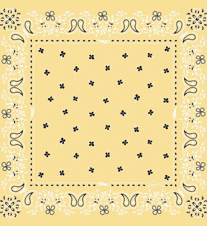 Silk Paisley Pattern Scarf