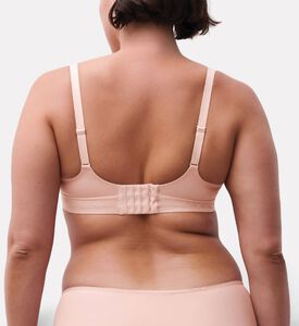 Chantelle Triangle Lace Embroidered Bra, Model View