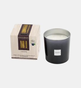 شمعة معطرة برائحة الأرز الطبيعية