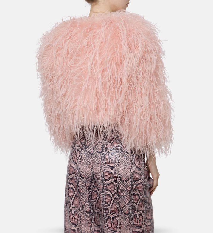 Alice and Olivia Jack Kidman, Model View