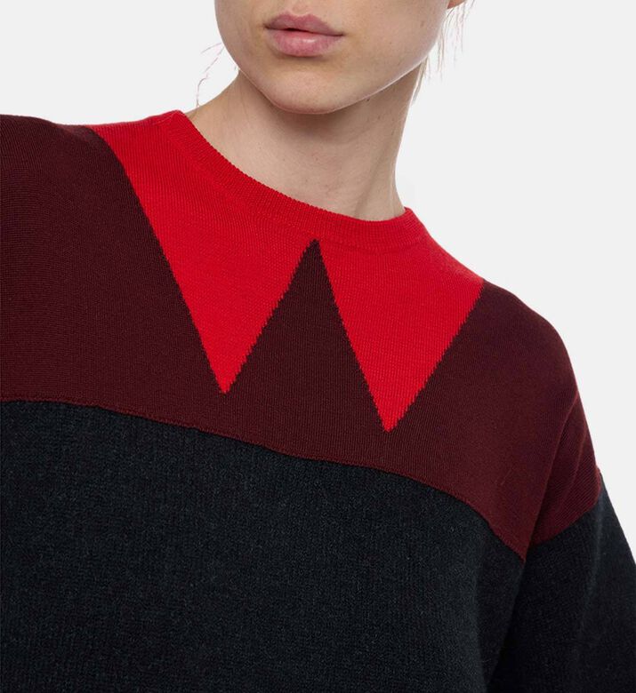 Plan C Two-tone Long-sleeve Sweater, Model View