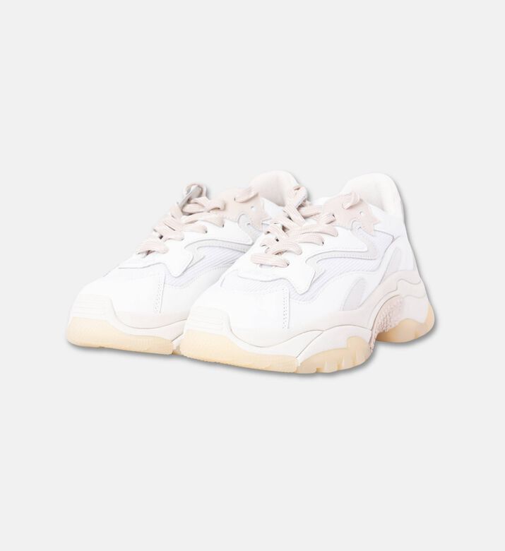 ASH Addict Leather Fabric Sneakers, Packshot View