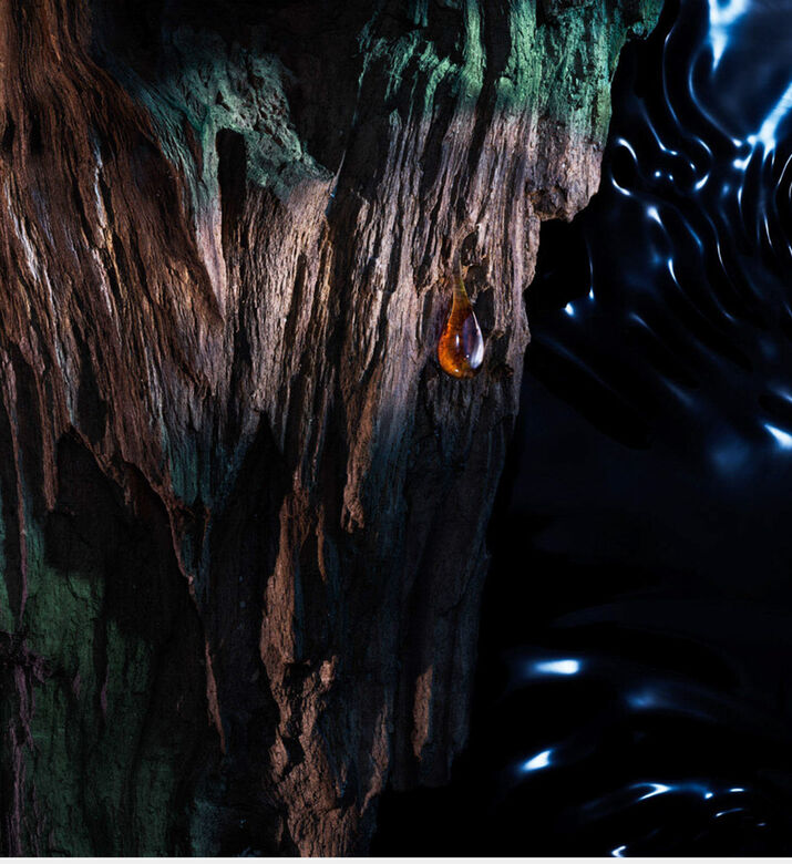 ماء عطر ريبليكا سول أوف ذا فوريست