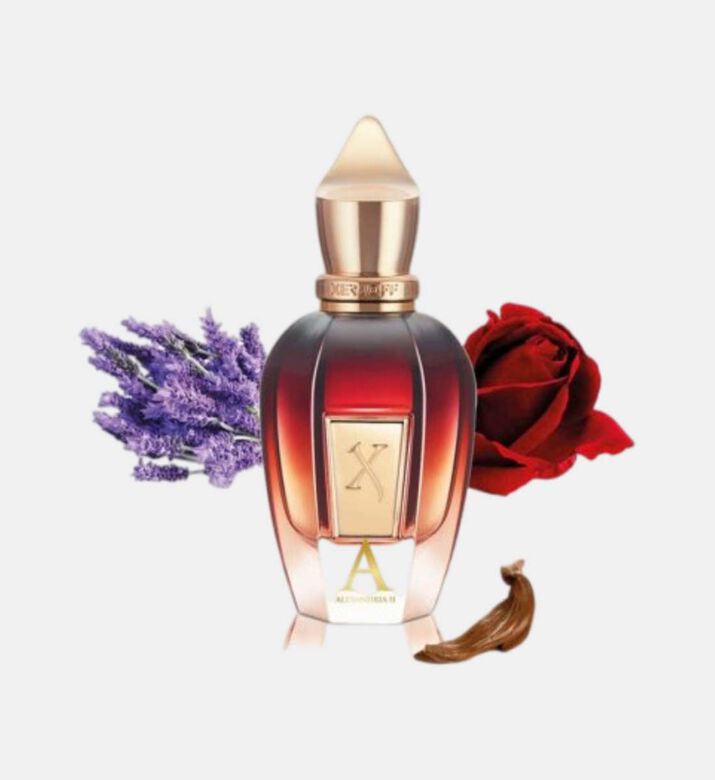 عود ستارز الإسكندرية II أو دو برفوم