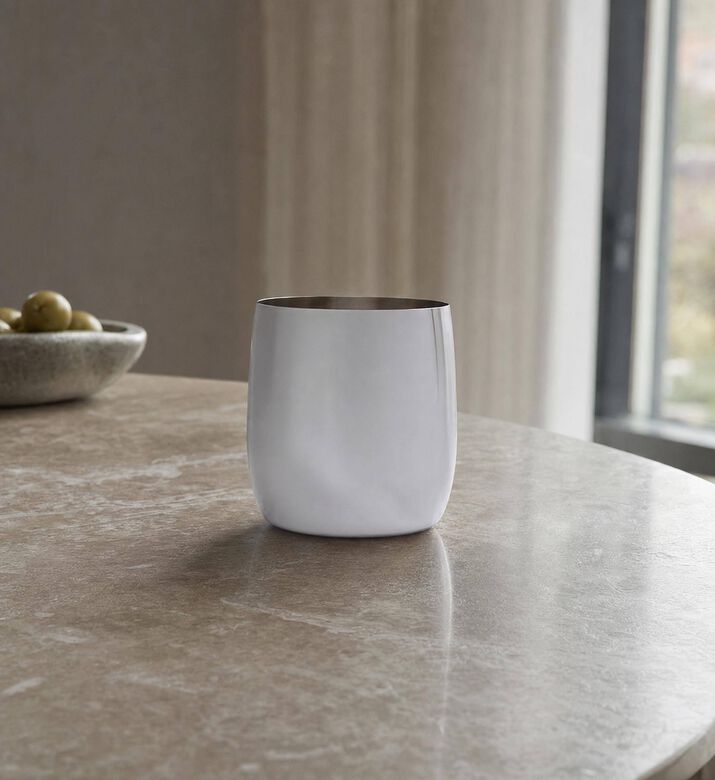 Stelton Foster Wine Glass, Model View