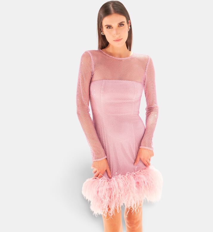 Savanna Feather-trimmed Crystal-embellished Mini Dress, Model View