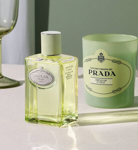 شمعة إنفوزيون ديريس معطرة