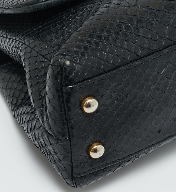 Chanel Preowned Coco Chanel Python Mini Coco Top Handle Bag, Packshot View