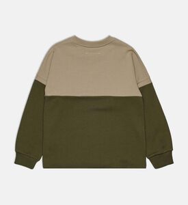 Two-tone Crewneck Long-sleeve Sweater