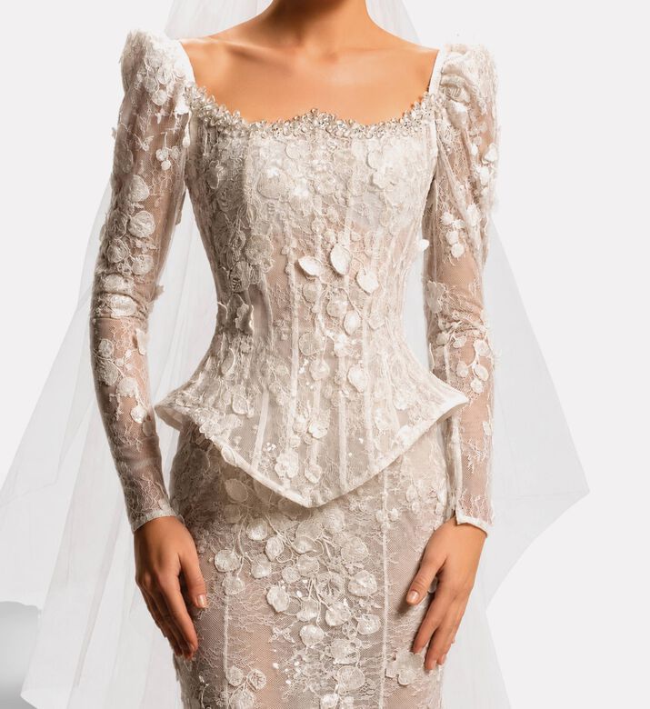 Michael Cinco Corset Long-sleeve Lace Gown, Model View