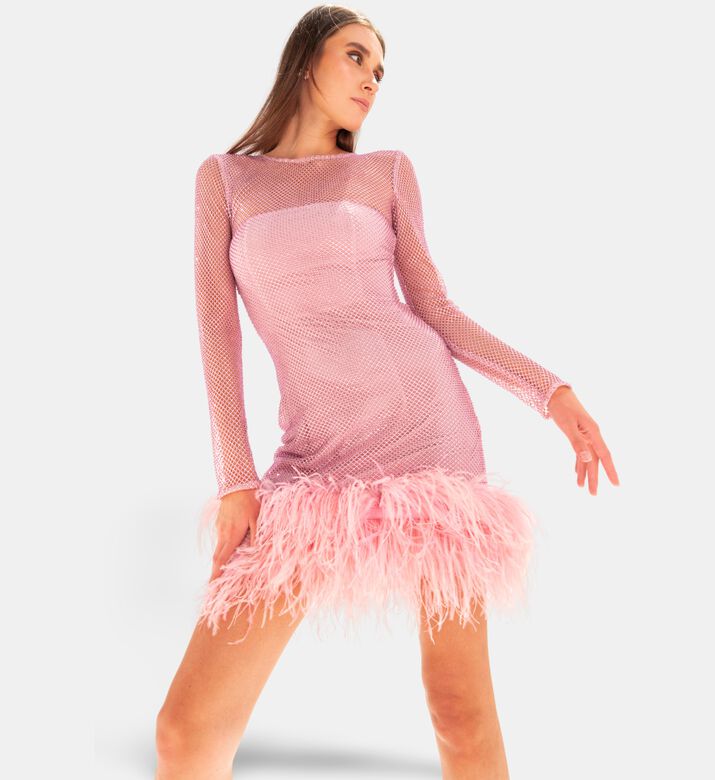 Savanna Feather-trimmed Crystal-embellished Mini Dress, Model View