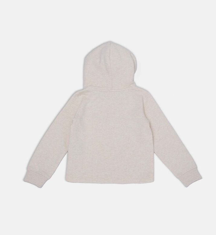 Color Logo Fleece Hooded Sweatshirt