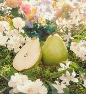 مجموعة هدايا عيد الميلاد من ماء عطر فلورا غورجوس غاردينيا