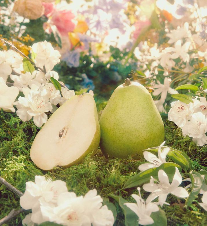 مجموعة هدايا عيد الميلاد من ماء عطر فلورا غورجوس غاردينيا