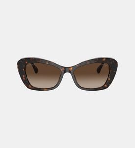 نظارات شمسية أسيتات كات آي