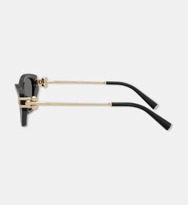 Tiffany & Co. Acetate Butterfly Sunglasses, Packshot View