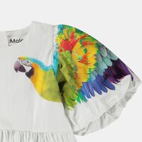 Chica In The Jungle Dress
