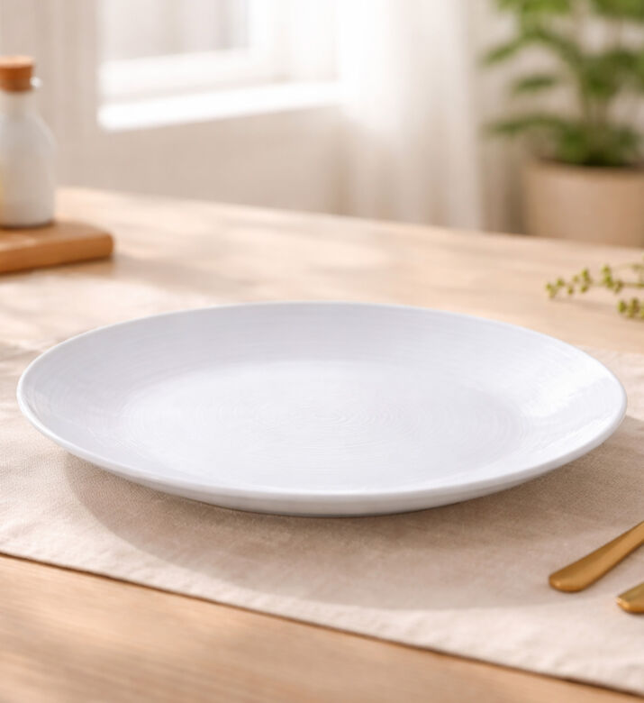 Guy Degrenne Round Dinner Plate - 28 Cm, Packshot View