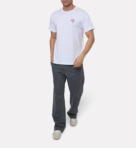 Diesel Ts, Model View